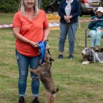 2nd Place to the Terrier