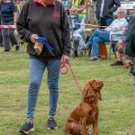 Any More Of Those Sausages-