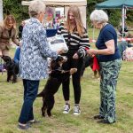 Everyone's Favourite