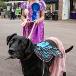 Fancy Dress Dog 2nd 2