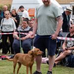 Fit As A Butcher's Dog