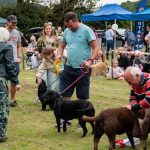 Happy Dogs, Happy Owners