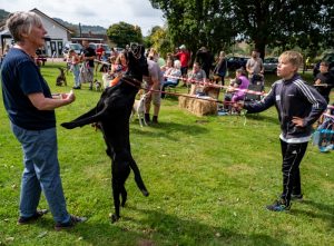 Sausage Catcher walford village hall fun day and dog show